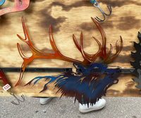 Elk head